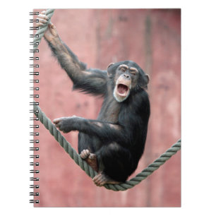 Carnet Chimpanzee 001