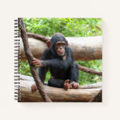 Carnet Chimpanzée 001 (Devant)