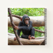 Carnet Chimpanzée 001 (Dos)