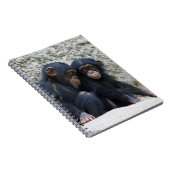 Carnet Chimpanzee 002 (Côté Droit)