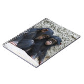 Carnet Chimpanzee 002 (Côté gauche)