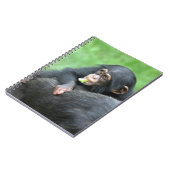Carnet Chimpanzée 005 (Côté gauche)