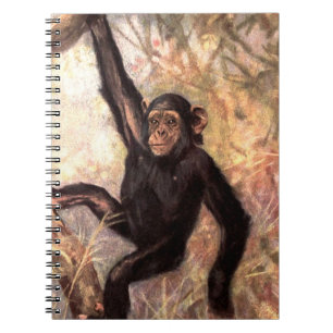 Carnet chimpanzeehangingintree002_original