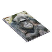 CARNET CHIMPANZÉS (Côté Droit)