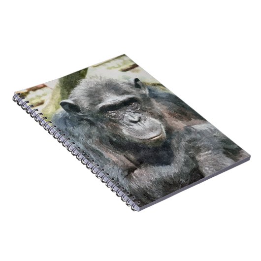 CARNET CHIMPANZÉS (Côté Droit)