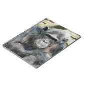 CARNET CHIMPANZÉS (Côté gauche)