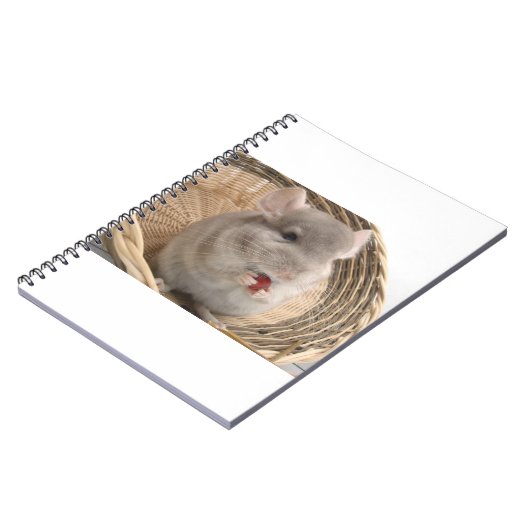 Carnet chinchilla (Côté gauche)