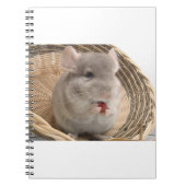 Carnet chinchilla (Devant)