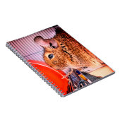 Carnet Chinchilla (Côté Droit)