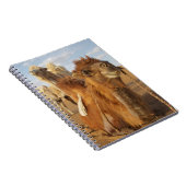 Carnet Chine, Mongolie intérieure, désert de Badain Jaran (Côté Droit)
