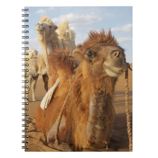 Carnet Chine, Mongolie intérieure, désert de Badain Jaran (Devant)