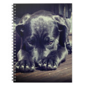 Carnet Chiot (Devant)