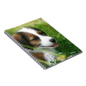 Carnet Chiot (Côté Droit)