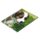 Carnet Chiot (Côté gauche)