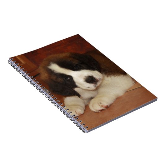 Carnet Chiot adorable et doux de St Bernard (Côté Droit)