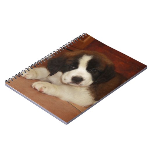 Carnet Chiot adorable et doux de St Bernard (Côté gauche)