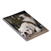 Carnet Chiot anglais de bouledogue (Côté Droit)