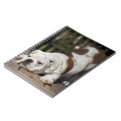 Carnet Chiot anglais de bouledogue (Côté gauche)