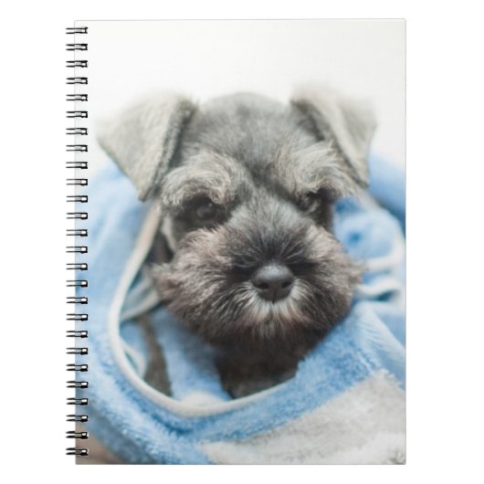 Carnet Chiot après Bath (Devant)