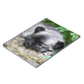 Carnet Chiot aux cheveux longs de chiwawa (Côté gauche)