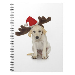 Carnet Chiot avec des oreilles de casquette et de renne