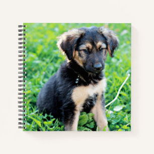 Carnet Chiot berger allemand