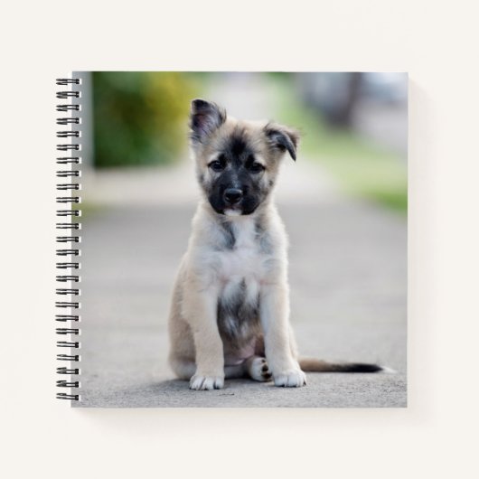 Carnet Chiot berger allemand sur le sentier (Devant)