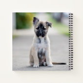 Carnet Chiot berger allemand sur le sentier (Dos)