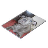 Carnet Chiot bleu Sooky Staffordshire Bull Terrier (Côté gauche)