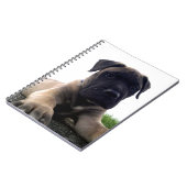 Carnet Chiot Bullmastiff (Côté gauche)