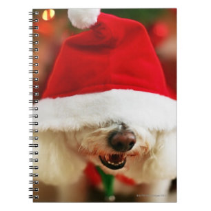 Carnet Chiot de Bichon Frise utilisant le costume de Pèr