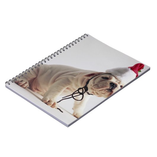 Carnet Chiot de bouledogue utilisant le casquette de Père (Côté gauche)