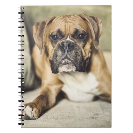 Carnet Chiot de boxeur de faon (Devant)