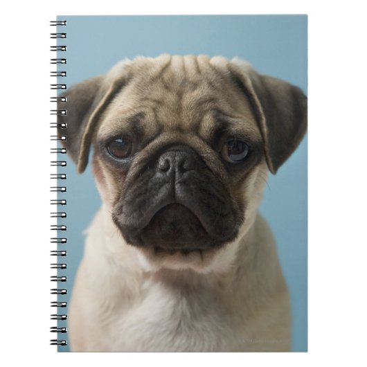 Carnet Chiot de carlin (Devant)