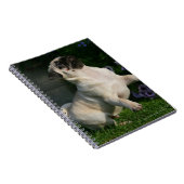 Carnet Chiot de carlin de faon (Côté Droit)