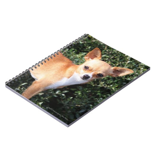 Carnet Chiot de chiwawa de tasse de thé (Côté gauche)