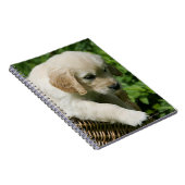 Carnet Chiot de golden retriever dans le panier (Côté Droit)