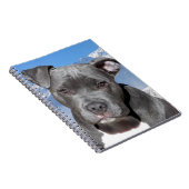 Carnet Chiot de Pitbull Terrier d'Américain (Côté Droit)