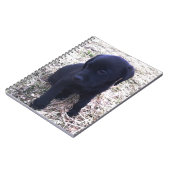 Carnet Chiot de récupération Black Labrador (Côté gauche)