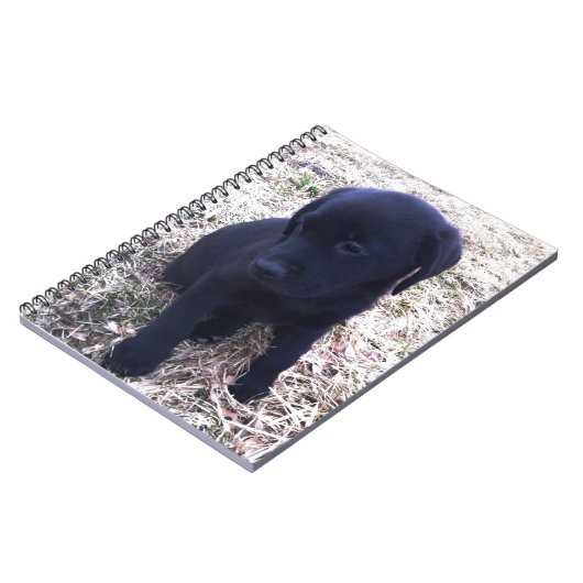 Carnet Chiot de récupération Black Labrador (Côté gauche)