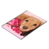 Carnet Chiot de teckel entouré par des roses (Côté gauche)