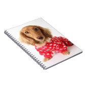 Carnet Chiot de teckel utilisant l'équipement de (Côté Droit)