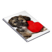 Carnet Chiot de Valentine Havanese d'amant (Côté Droit)