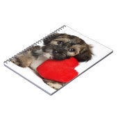 Carnet Chiot de Valentine Havanese d'amant (Côté gauche)