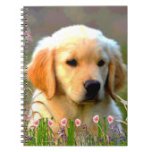 Carnet Chiot d'or d'Austin Labrador (Devant)