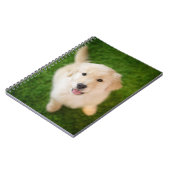 Carnet Chiot d'or rétriever sur l'herbe (Côté gauche)