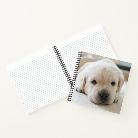 Carnet Chiot doré du Labrador doré (Intérieur)