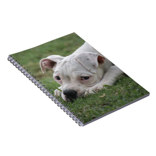 Carnet Chiot doux de boxeur (Côté Droit)