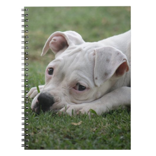 Carnet Chiot doux de boxeur (Devant)