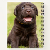 Carnet Chiot du laboratoire de chocolat (Dos)